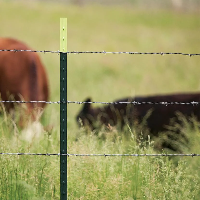 8FT, 1.25lb Studded T-Post T Farm Fence Post