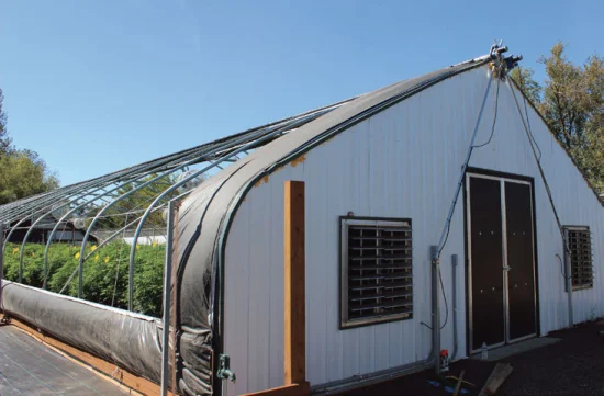 Agricultural Single Span Tunnel Greenhouse Film Polycarbonate USA Canada Nursery Hoops